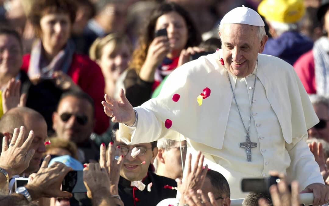 ¿Quieres apoyar a Francisco?