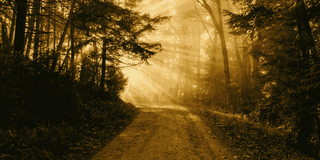 ¡Que llega el esposo, salid a recibirlo!