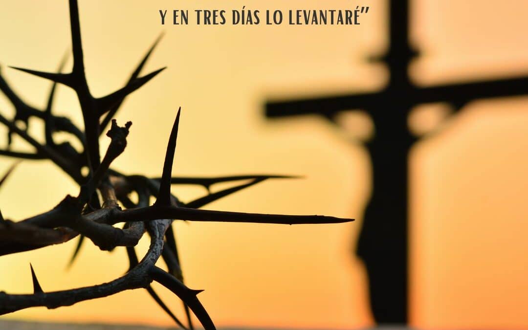 3 marzo 2024. III Domingo de Cuaresma (Ciclo B)