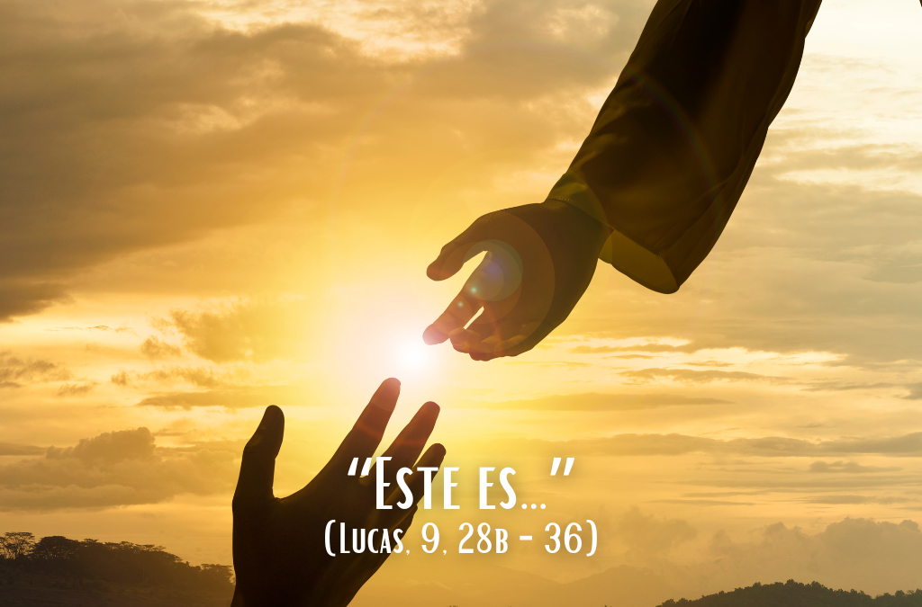 Comentario al Evangelio: “Este es…”