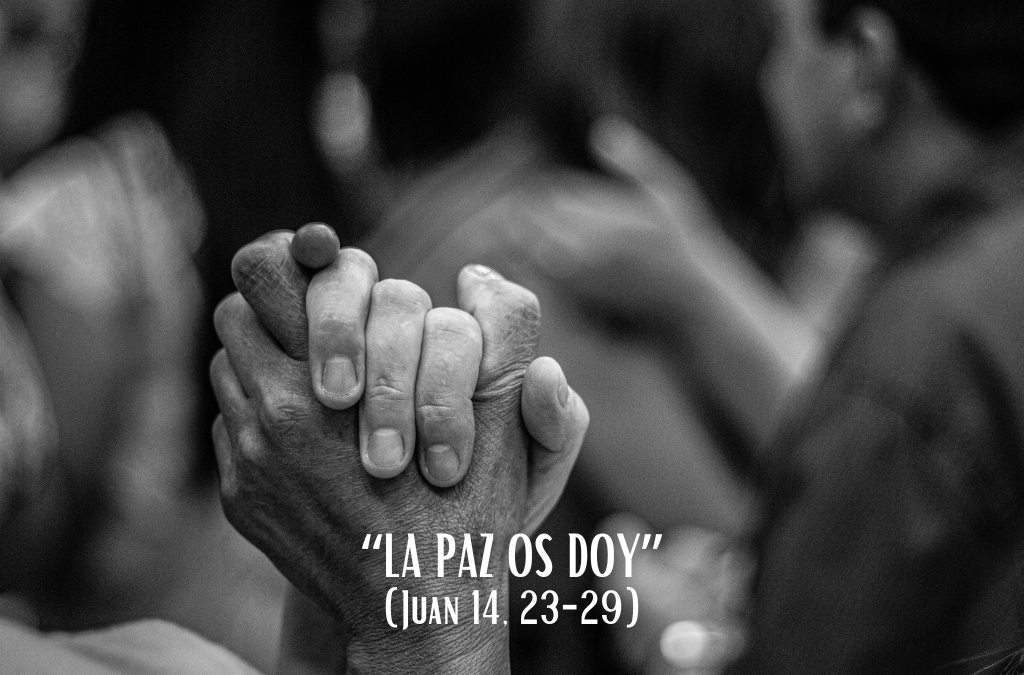 Comentario al Evangelio: “La paz os doy”