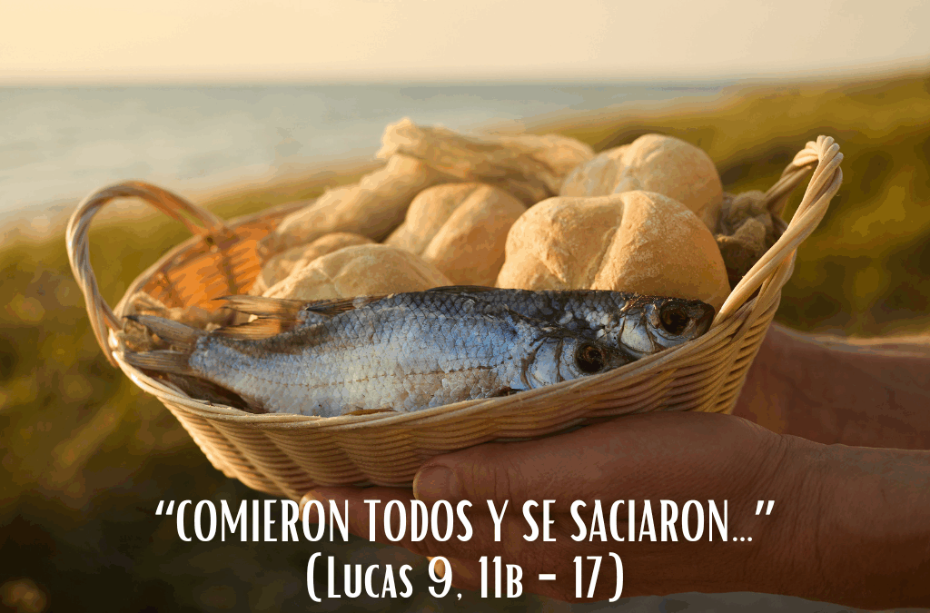 Comentario al Evangelio: “Comieron todos y se saciaron…”