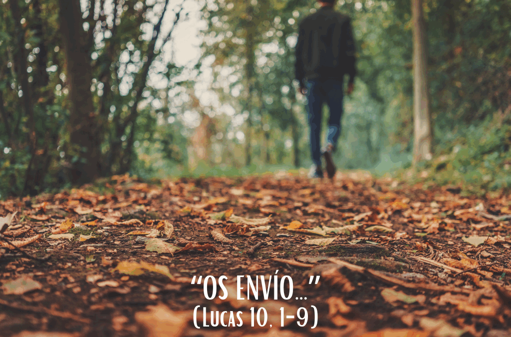 Comentario al Evangelio: “Os envío…”