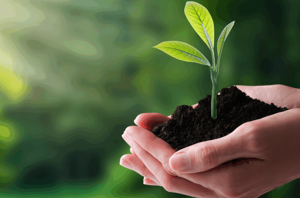 Inicia Círculo Laudato Si’ en el Centro Arrupe Valencia