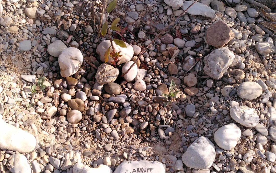 Círculo Laudato Si´ en el Centro Arrupe