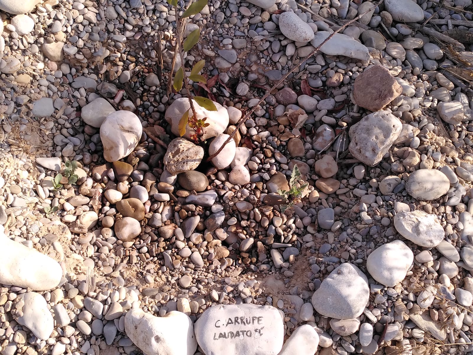 Círculo Laudato Si´ en el Centro Arrupe